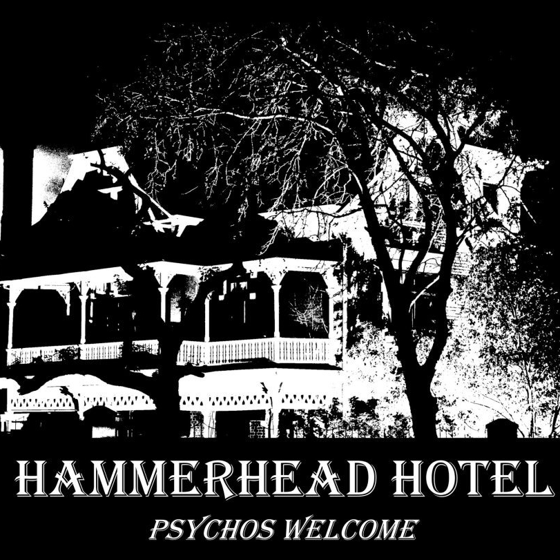 Hammerhead Hotel | photo: Michael Currin